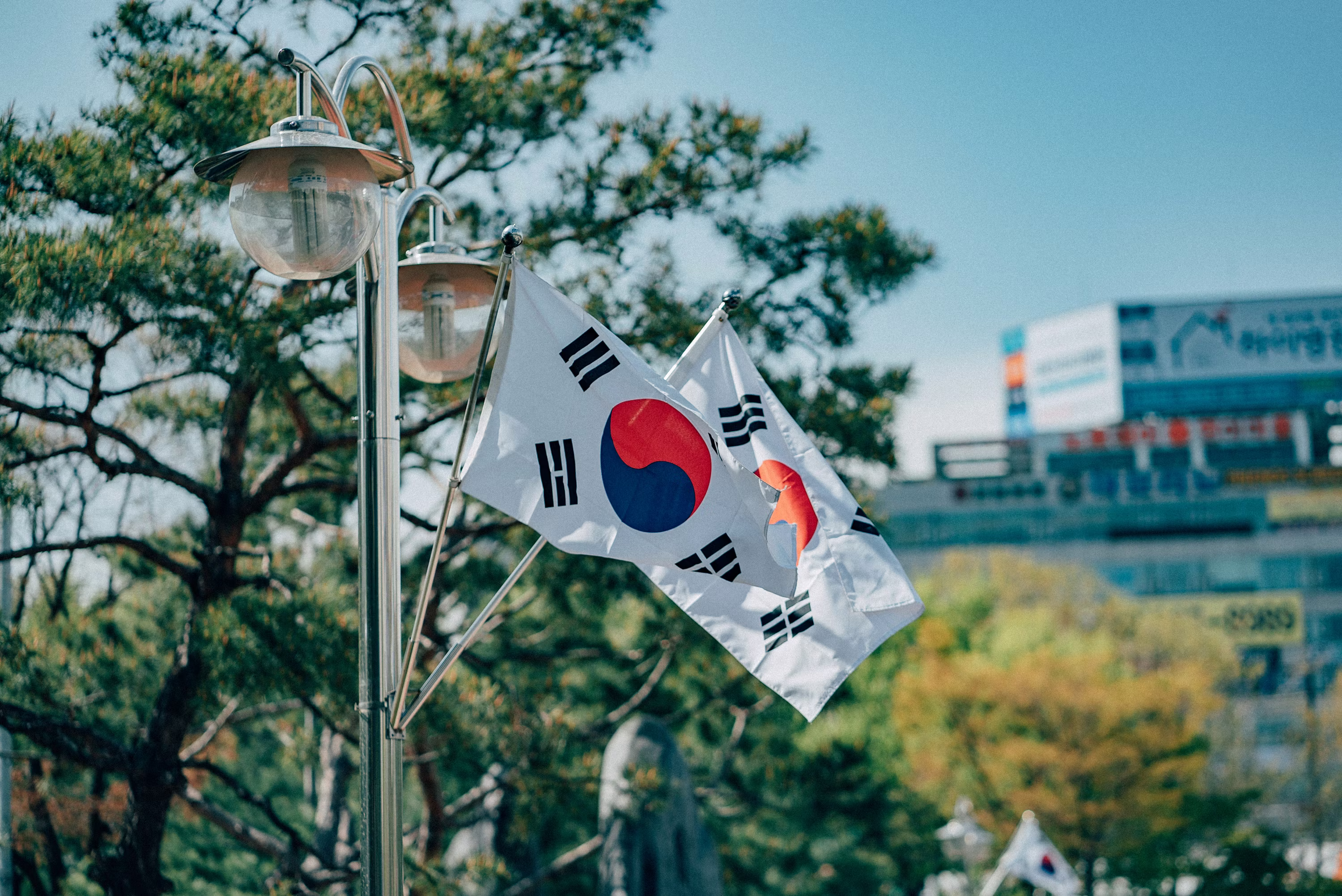 Study in South Korea